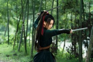 الدارما الصينية زوجي الباسل